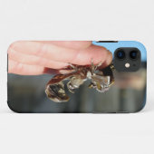 Coques Case-Mate iPhone Photo Cocoon Papillon iPhone SE + iPhone 5/5S (Dos (Horizontal))