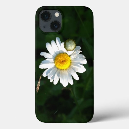 Coques Case-Mate iPhone Photo Daisy iPhone 6/6, Tough Xtreme (Verso)