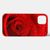 Coques Case-Mate iPhone Photo d'arrière - plan de rose rouge (Verso (horizontal))