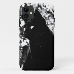 Coque iPhone 11 Photo de Black Cat Portrait