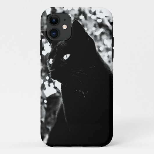 Coques Case-Mate iPhone Photo de Black Cat Portrait (Dos)