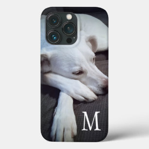 Case-Mate iPhone Case Photo de Chien blanc avec des pattes mignonnes