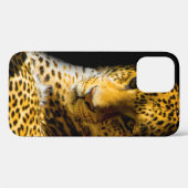 COQUES Case-Mate iPhone PHOTO DE CLOSEUP DE LEOPARD (Verso (horizontal))