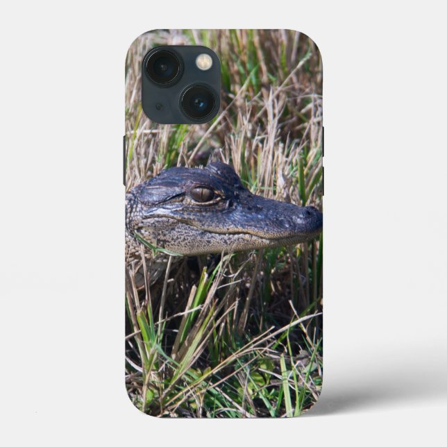 Coques Case-Mate iPhone Photo de faune d'un bébé alligator mignon dans de  (Verso)