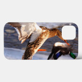Coques Case-Mate iPhone Photo de la faune de Mallard Duck pour les amateur (Verso (horizontal))