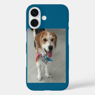 Coques iPhone 16 Photo de l'animal & Nom blanc, Bleu