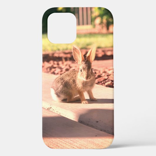 Coques Case-Mate iPhone photo de lapin de Pâques printemps (Verso)