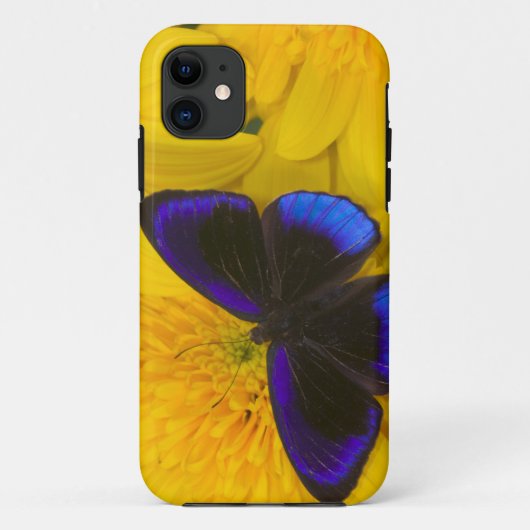 Coques Case-Mate iPhone Photo de papillon (Dos)