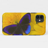 Coques Case-Mate iPhone Photo de papillon (Dos (Horizontal))