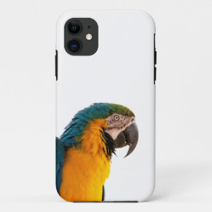Case-Mate iPhone Case Photo de perroquet Ara