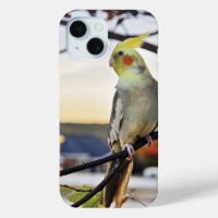 Photo de profil Cockatiel