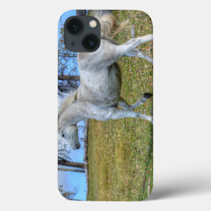 Coques Pour iPhone Photo équine de cheval blanc à l'esprit sur le BC