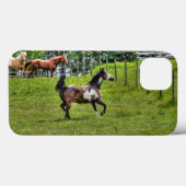 Coques Case-Mate iPhone Photo équine de Cheval Peint Spirité pour les amat (Verso (horizontal))