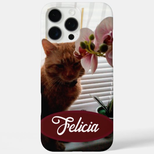 Coques Case-Mate iPhone Photo et nom du chat de gingembre, personnalisable (Verso)