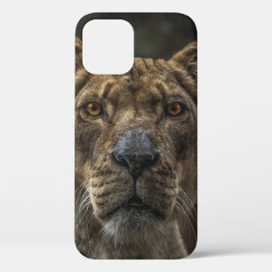 Case-Mate iPhone Case PHOTO FOCALE SÉLECTIVE DE L'OURS Brown PENDANT LA