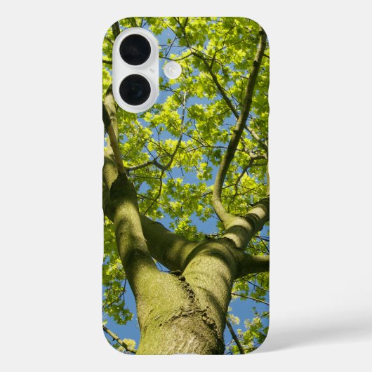 Coques Case-Mate iPhone Photo Green Tree Crown avec ciel bleu - (Verso)