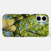 Coques Case-Mate iPhone Photo Green Tree Crown avec ciel bleu - (Verso (horizontal))
