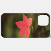 Coques Case-Mate iPhone Photo Maple Leaf Nature (Verso (horizontal))
