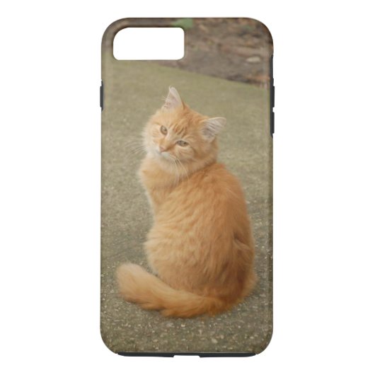Coques Case-Mate iPhone Photo Orange Kitten (Dos)