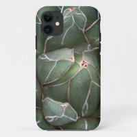 Photo Plante Succulent iPhone SE + iPhone 5/5S