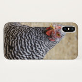 Coques Case-Mate iPhone Photographe de Plymouth Barred Rock (Dos (Horizontal))
