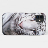 Coques Case-Mate iPhone Photographie blanche de tigre de Bengale (Dos (Horizontal))