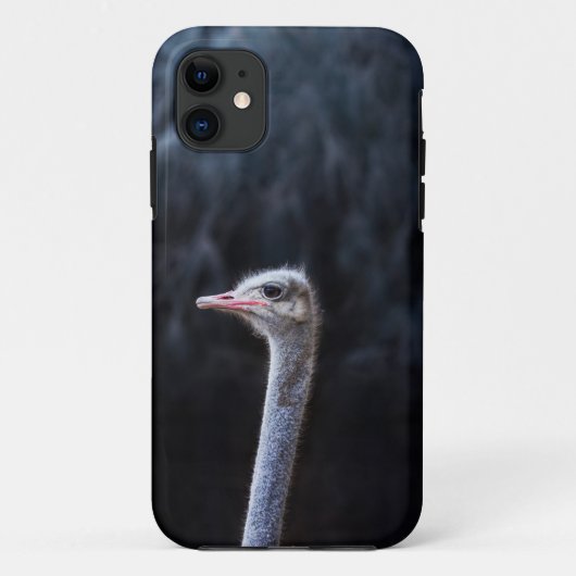 Coques Case-Mate iPhone Photographie d'autruche (Dos)