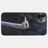 Coques Case-Mate iPhone Photographie d'autruche (Dos (Horizontal))