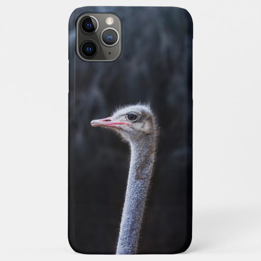 Coques Case-Mate iPhone Photographie d'autruche (Dos)