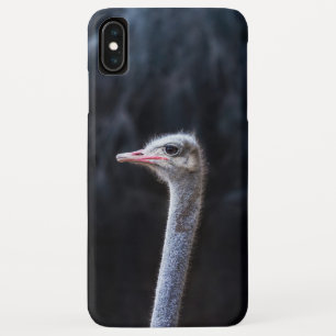 Case-Mate iPhone Case Photographie d'autruche
