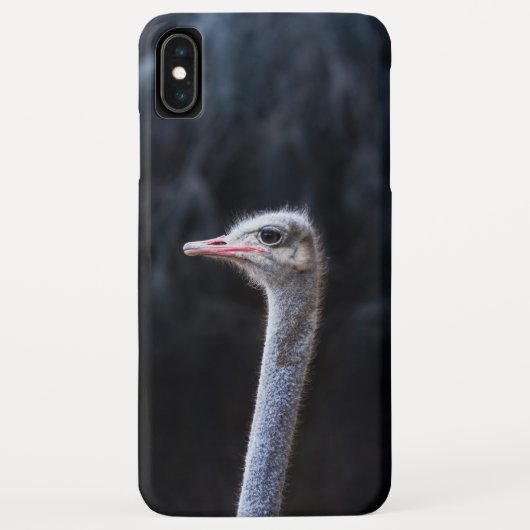 Coques Case-Mate iPhone Photographie d'autruche (Dos)