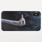 Coques Case-Mate iPhone Photographie d'autruche (Dos (Horizontal))