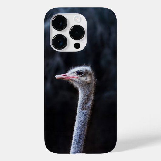 Coques Case-Mate iPhone Photographie d'autruche (Verso)