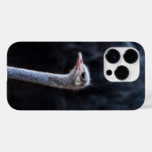 Coques Case-Mate iPhone Photographie d'autruche (Verso (horizontal))