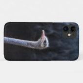 Coques Case-Mate iPhone Photographie d'autruche (Dos (Horizontal))