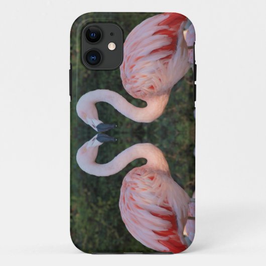 Coques Case-Mate iPhone Photographie de baiser mignonne de Flamant rose (Dos)
