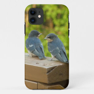 Case-Mate iPhone Case Photographie de bébé hirondelles de cheminée dans