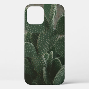 Case-Mate iPhone CASE PHOTOGRAPHIE DE CACTUS À PEU PRÈS CONCENTRÉE