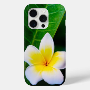 Coque iPhone 15 Pro Photographie de fleurs de plumeria