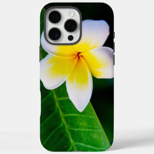 Coques iPhone 16 Pro Max Photographie de fleurs de plumeria