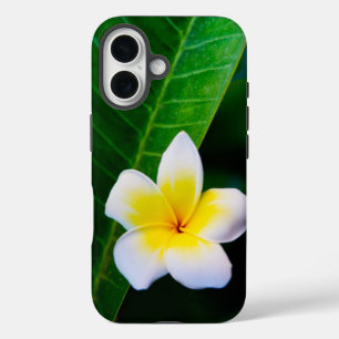 Coques iPhone 16 Photographie de fleurs de plumeria