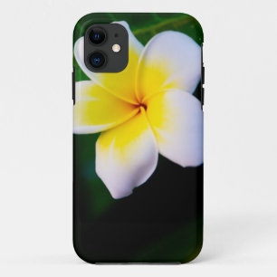 Coques Pour iPhone Photographie de fleurs de plumeria