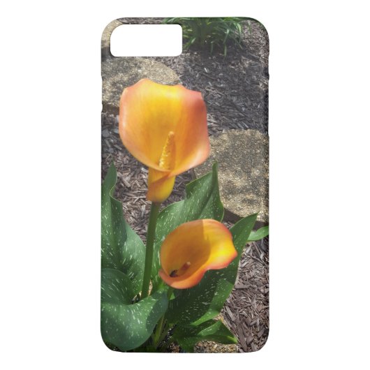 Coques Case-Mate iPhone Photographie de fleurs orange Nature (Dos)