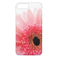 Photographie de gerbera rose frais