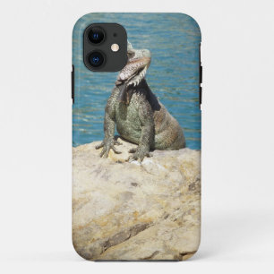 Coque Case-Mate Pour iPhone Photographie de la faune tropicale Iguana à St. Th