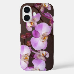 Coques iPhone 16 Photographie de près d'orchidée violette et blanch
