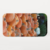 Coques Case-Mate iPhone Photographie de récolte d'automne des citrouilles  (Dos (Horizontal))