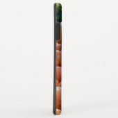 Coques Case-Mate iPhone Photographie de récolte d'automne des citrouilles (Dos/Droite)