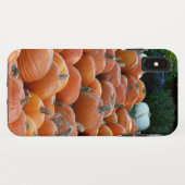 Coques Case-Mate iPhone Photographie de récolte d'automne des citrouilles (Dos (Horizontal))