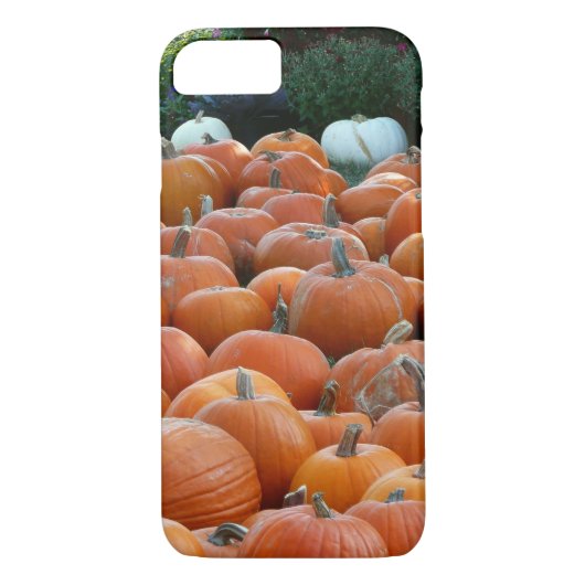 Coques Case-Mate iPhone Photographie de récolte d'automne des citrouilles  (Dos)